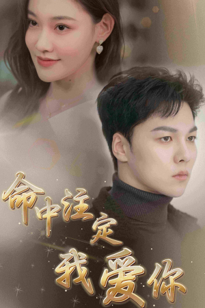 命中注定我爱你（75集）熬夜必看