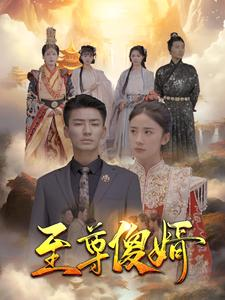 至尊傻婿（82集）男女主角原版人马