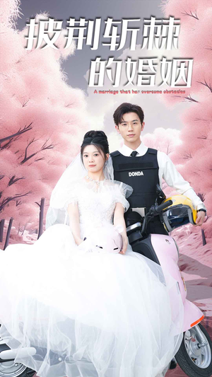 新版：披荆斩棘的婚姻（90集）高清资源