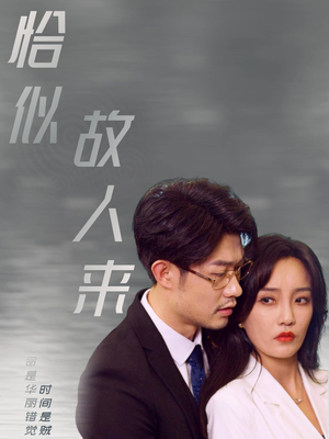 恰似故人来(79集) 恰似故人来(79集)太硬核