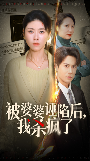 被婆婆诬陷后我杀疯了（30集）枪战戏太激烈