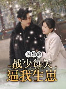 闪婚后战少每天逼我生崽(91集) 闪婚后战少每天逼我生崽(91集)床戏名场面