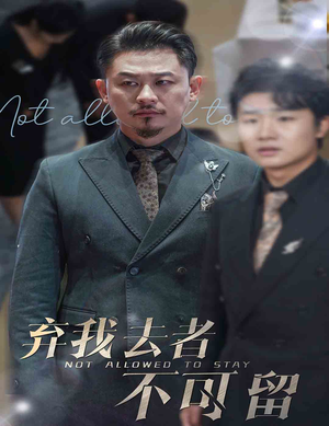 弃我去者不可留&生命它璀璨如歌(60集) 弃我去者不可留&生命它璀璨如歌(60集)免费短剧观看