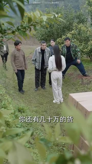 我本真心换薄情（49集）情感短剧