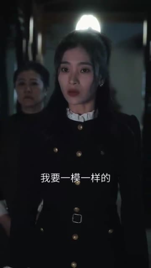 双姝(66集) 双姝(66集)都市