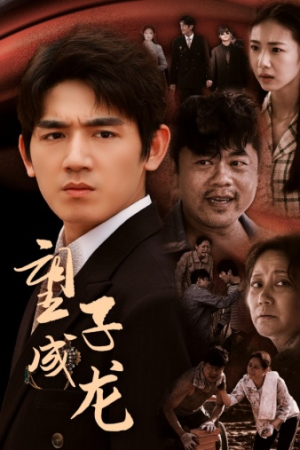 望子成龙(52集) 望子成龙(52集)小成本大制作