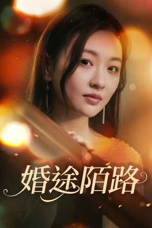 婚途陌路(15集) 婚途陌路(15集)燃爆短剧