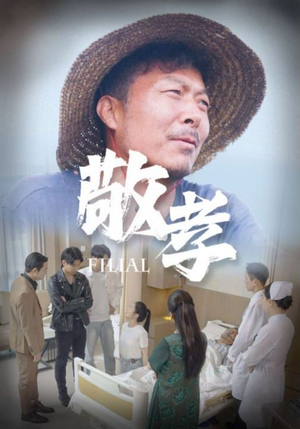 敬孝(61集) 敬孝(61集)古装短剧