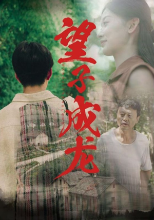 望子成龙（74集）都市