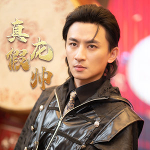 真假龙帅（81集）大结局超前点播完整版