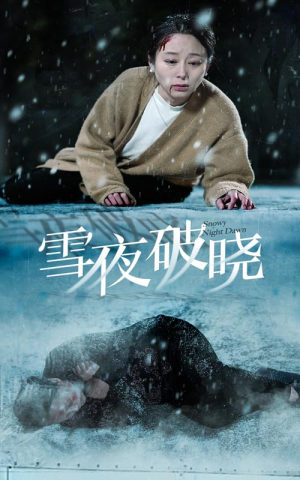 雪夜破晓（36集）手机网页端免APP流畅播放