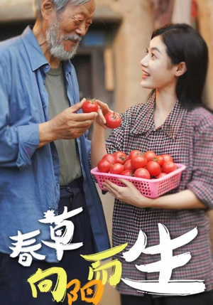 春草向阳而生（53集）太魔性了