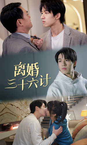 离婚三十六计（96集）兵王短剧