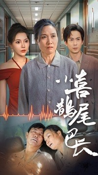小喜鹊尾巴长(53集) 小喜鹊尾巴长(53集)宅斗