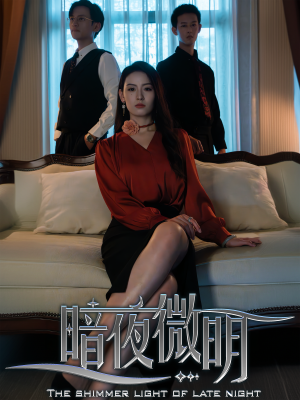 暗夜微明（70集）爆笑短剧