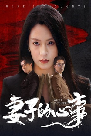 妻子的心事（60集）无广告免费看