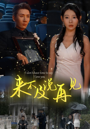 来不及说再见（30集）太良心了