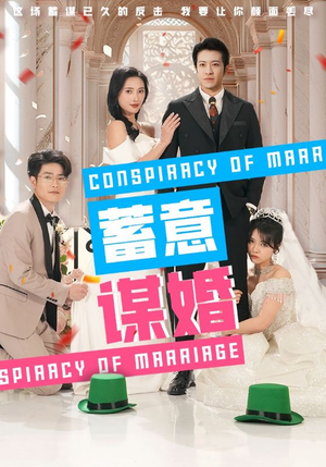蓄意谋婚(30集) 蓄意谋婚(30集)看完空虚