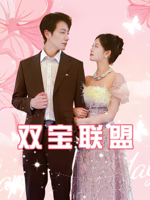 双宝联盟（71集）评价怎么样