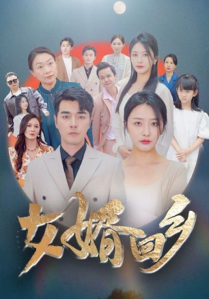 女婿回乡(120集) 女婿回乡(120集)惊悚短剧