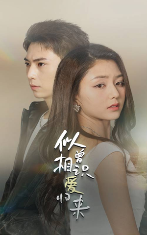 似曾相识爱归来(77集) 似曾相识爱归来(77集)跨年档短剧