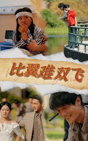 比翼难双飞（30集）哪里能看