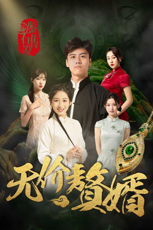 鉴宝传说之无价赘婿（100集）太绝了