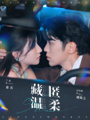 藏匿温柔（99集）全程高能