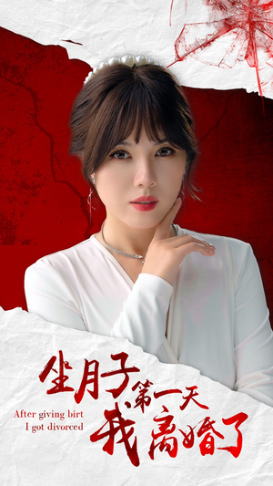 坐月子第一天我离婚了（30集）主演是谁