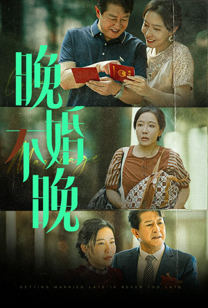 晚婚不晚（30集）白莲花