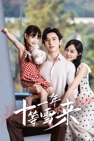 十一年等雪来（50集）闪婚
