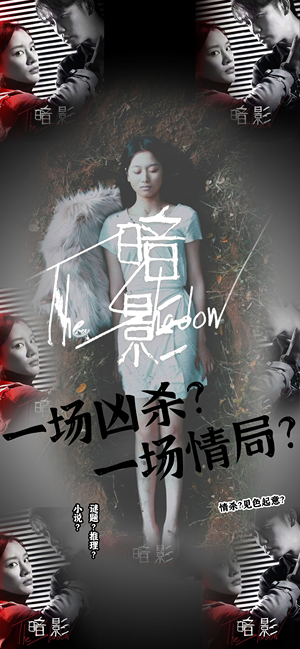 暗影(50集) 暗影(50集)爽翻了