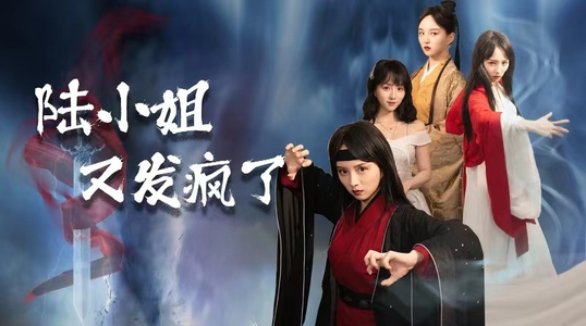 陆小姐又发疯了（28集）时间循环