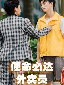 使命必达外卖员（31集）多少集