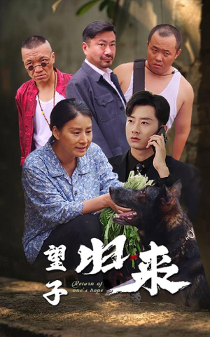 望子归来（50集）太精彩了