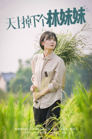 天上掉下个林妹妹（81集）电脑在线看