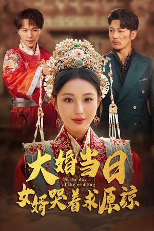 大婚当日,女婿哭着求原谅(31集) 大婚当日,女婿哭着求原谅(31集)系统戏太金手指