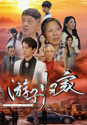 游子归家(88集) 游子归家(88集)限定短剧