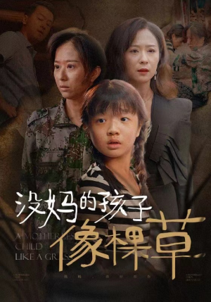 没妈的孩子像棵草(50集) 没妈的孩子像棵草(50集)太搞怪了