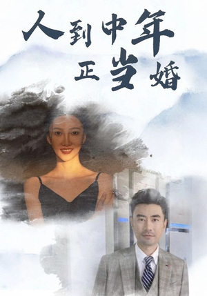 人到中年正当婚(81集) 人到中年正当婚(81集)在线播放不卡顿