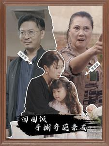 团圆饭手撕奇葩亲戚（40集）大电影