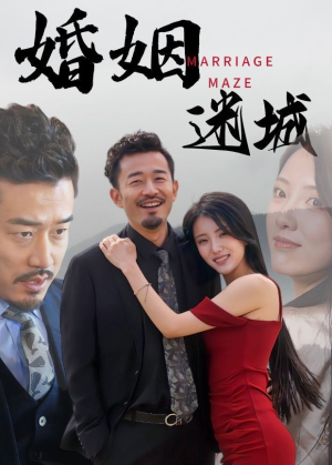婚姻迷城(97集) 婚姻迷城(97集)太烧脑了