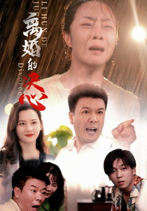 离婚的决心（48集）每日同步更新追更日历表