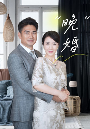 晚婚(65集) 晚婚(65集)一口气看完太爽了