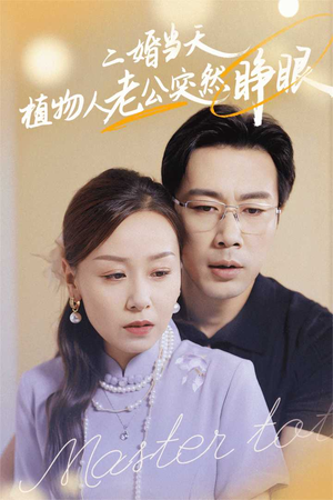 二婚当天植物人老公突然睁眼(40集) 二婚当天植物人老公突然睁眼(40集)快手星芒