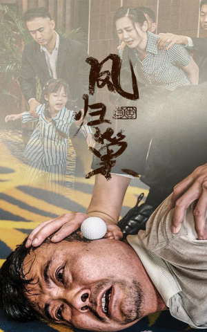 新版:凤归巢(68集) 新版:凤归巢(68集)废物逆袭