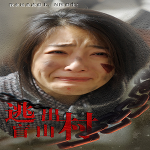 逃出盲山村（48集）手机在线看无需下载APP