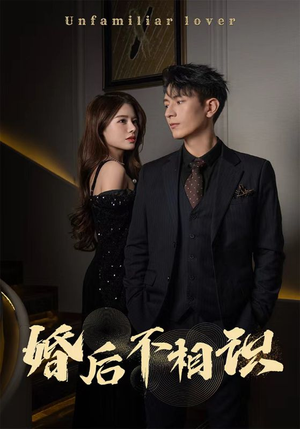 婚后不相识（100集）1080P高清