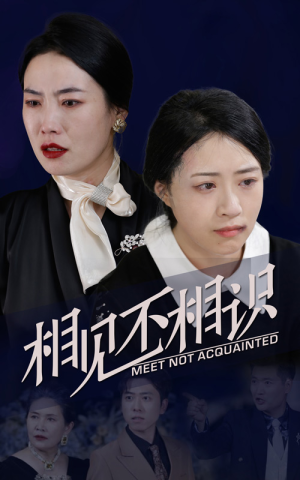 相见不相识(34集) 相见不相识(34集)全集免费看无广告