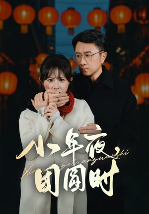 小年夜，团圆时& 小年夜万家灯火没有我（35集）无需注册